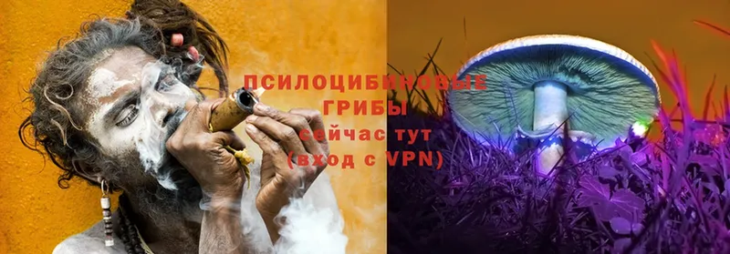 Псилоцибиновые грибы Magic Shrooms  дарнет шоп  Амурск 